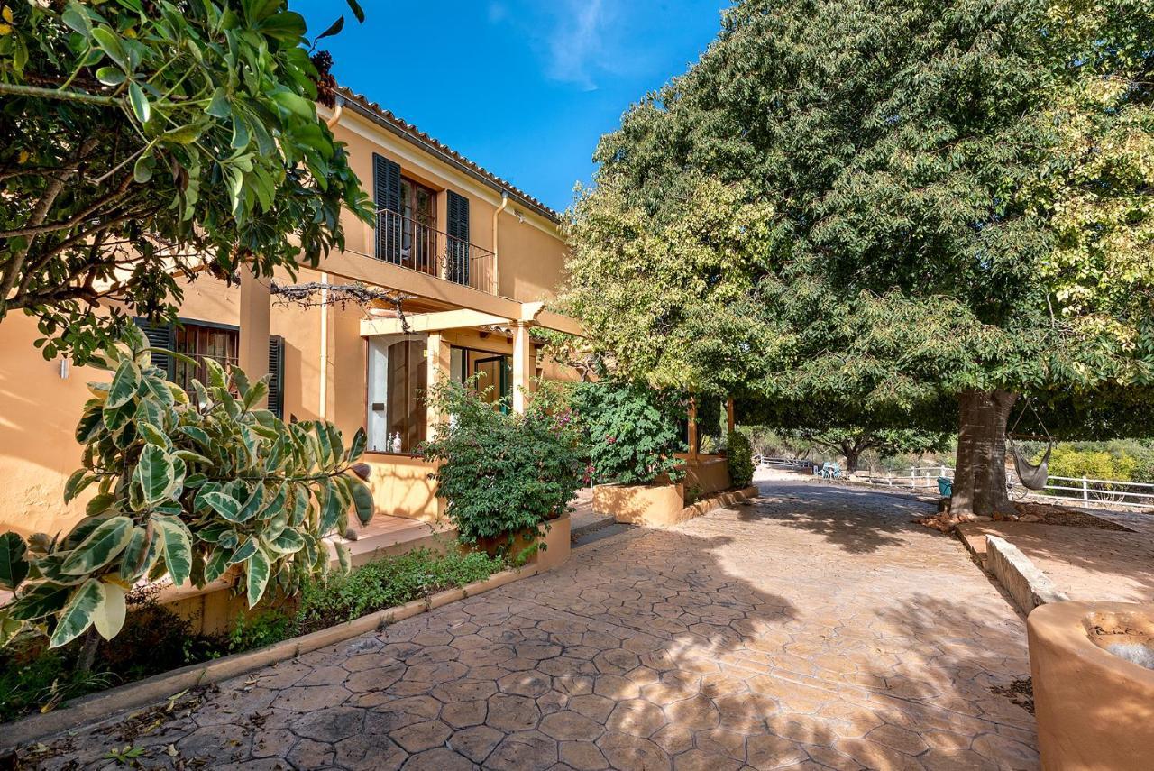 Villa Nice Mallorca Palma de Mallorca Exterior photo